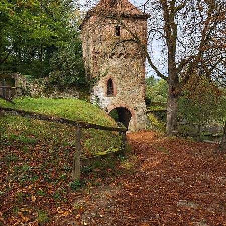 Villa Vanilla Im Burgdorf 11 P. Neidenstein エクステリア 写真